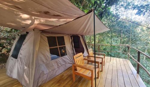 Tent with Forest View