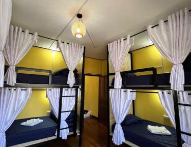 Bed in 6-Bed Mixed Dormitory Room