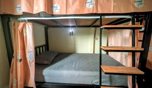 Bed in 6-Bed Dormitory Room
