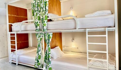 Bed in 8-Bed Mixed Dormitory Room