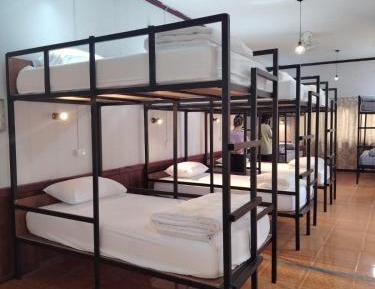 Bunk Bed in Mixed Dormitory Room