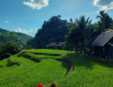 Bungalow with Garden View