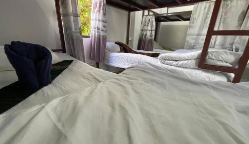 Bunk Bed in Mixed Dormitory Room
