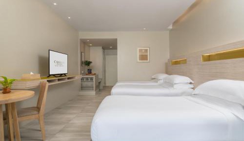 Triple Room Mountain View