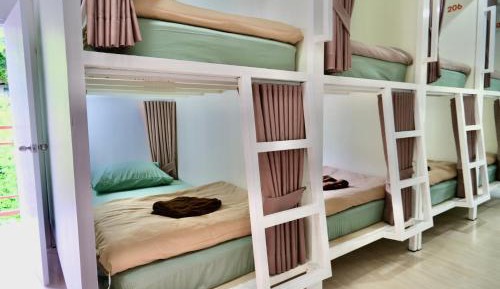 Bunk Bed in Mixed Dormitory Room