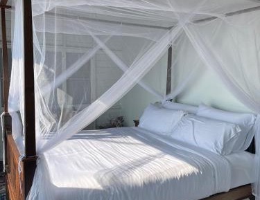 Junior Suite with Mountain View