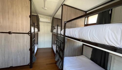 Bunk Bed in Mixed Dormitory Room