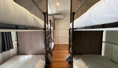 Bunk Bed in Mixed Dormitory Room