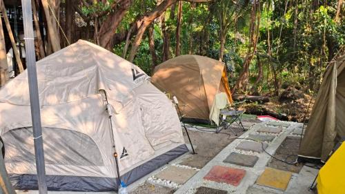 Tent