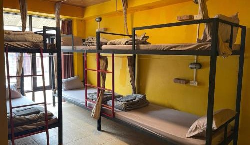 Single Bed in 6-Bed Dormitory Room
