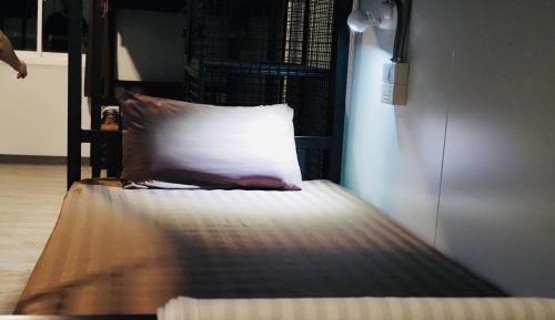 Bed in 8-Bed Mixed Dormitory Room