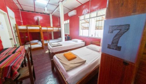 Bed in 10-Bed Mixed Dormitory Room