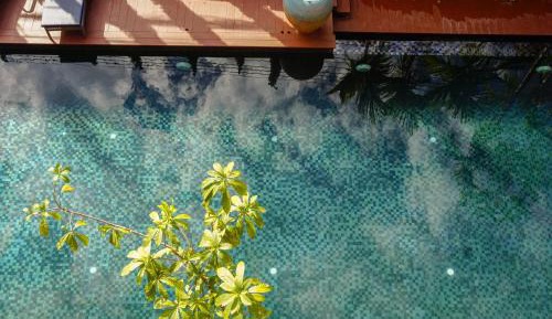 Deluxe Suite with Pool Access