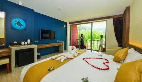 Deluxe Double or Twin Room