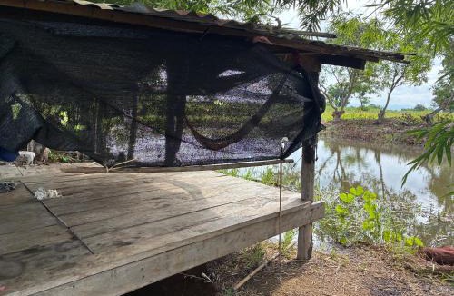 Wichian Buri Bed & Breakfast | The Sawmill Lakeside Hut