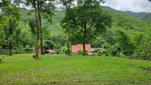 Tha Kradan Other | Wildlife Private Camp