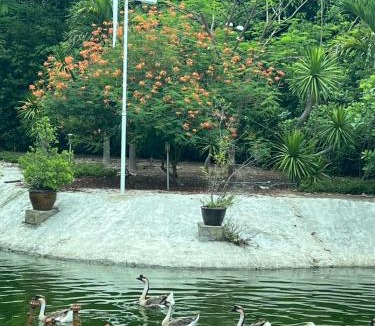 Ban Hong House | Resort de Si Tia