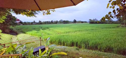 Chiang Mai Villa | 90 9 Pool Villa Chiang Mai