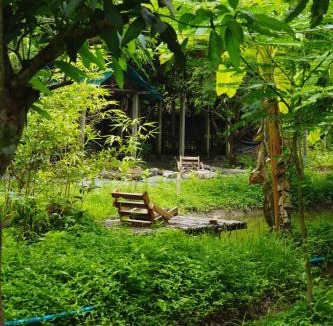 Doi Saket House | Himmapun Farm