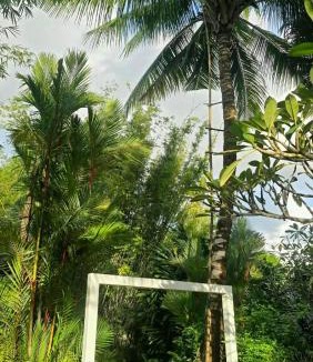Khuekkhak Cabin | Exotic Boutique Hotel