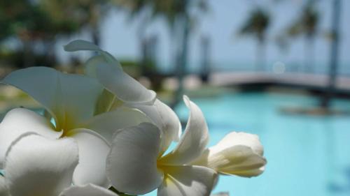 Hua Hin Villa | Villa Nilaya - Beachfront Villa - Hua Hin