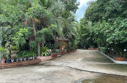 Prakhon Chai House | Tree and coffee resort V3