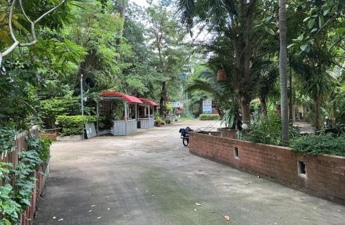 Prakhon Chai House | Tree and coffee resort V6