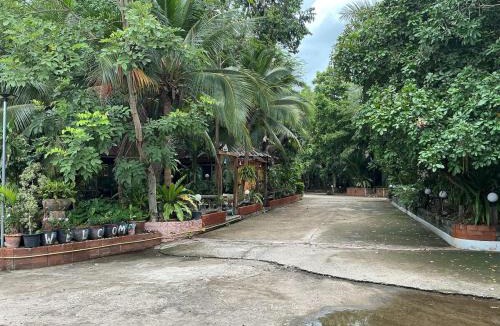 Prakhon Chai House | Tree and coffee resort V4