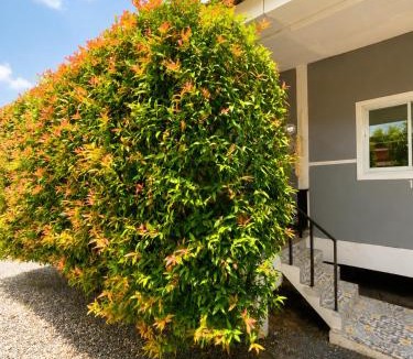 Bophut Villa | Boho Chic Villa - Near Fisherman's Village & Beach