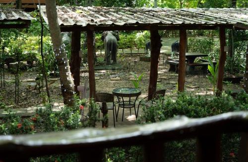 Phitsanulok Resort | Akchanok Homestay - Nature Retreat