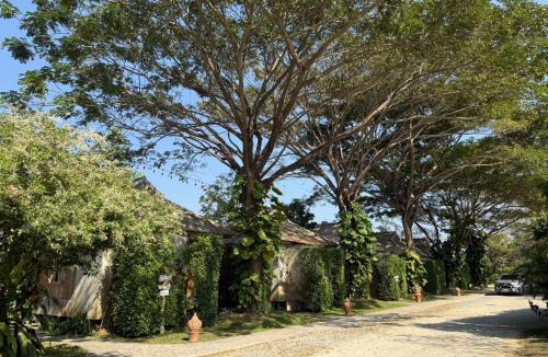 Wiang Pa Pao House | เพลินนะเพลินนา รีสอร์ต Ploennaploenna