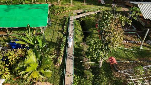 Khlong Sok House | Tara Farm Stay Khao Sok