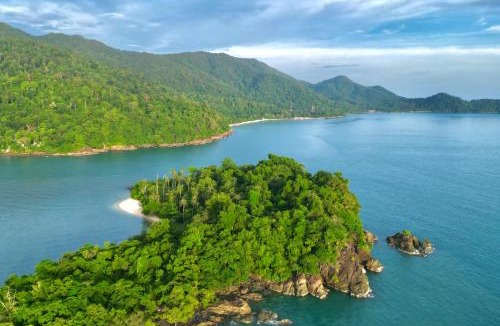 Bai Lan House | Beach Jungle