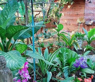 Chiang Dao Villa | PJ Garden Home (Chiang Dao)