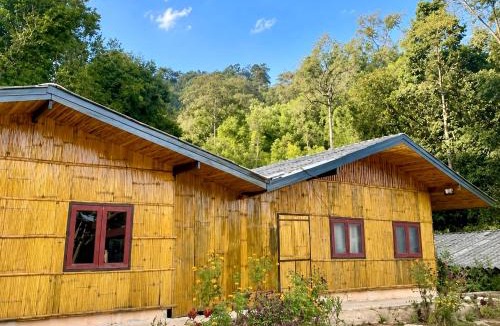 Mae Wang Cabin | Sunny Jungle Waterfall Retreat
