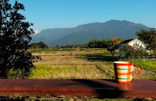 Tha Wang Pha House | Ricefield Homestay มองนาภูคาน่านโฮมสเตย์