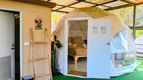 Samut Sakhon Other | The Forest Camp Khaoyai เดอะฟอเรสแคมป์ เขาใหญ่