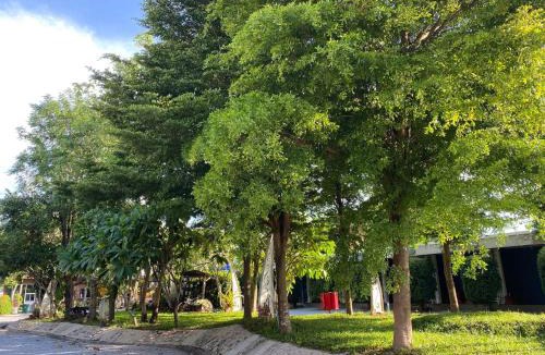 Nam Pat Hotel | Wang nam yen hill วังน้ำเย็นฮิลล์