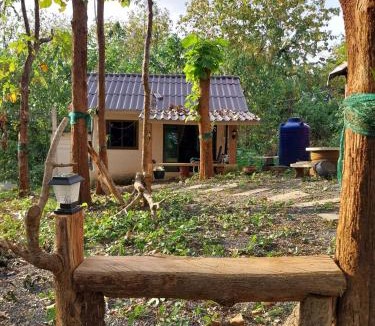 Tha Sao Resort | ดงสัก สไตล์ป่า ไทรโยคน้อย
