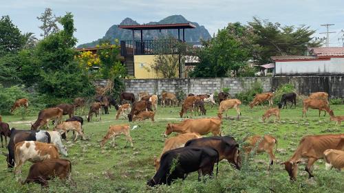 Cha-am Villa | Cha-am Mountain View Nature House 3 Bed 2 Bath