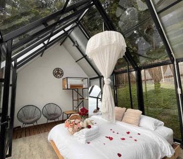 Ban Ton Lung Other | Dandelion Cabin