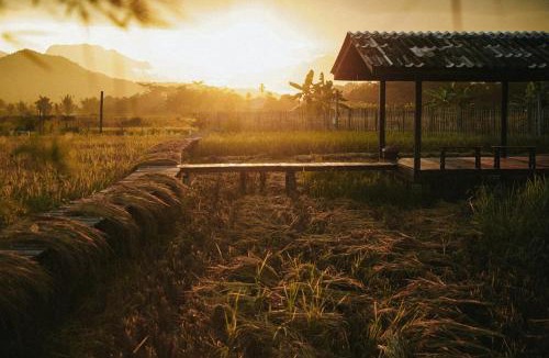Mueang Ngai Other | Yidan Farmstay in Chiang Dao