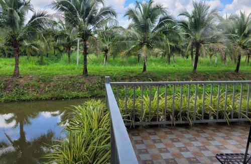 Ban Kluai House | Coco farm stay Suanphueng