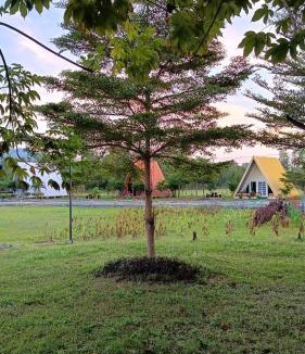 Noen Maprang Cabin | Mountain Deer Resort & Camping