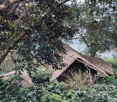 Chiang Rai Province House | Sook sa ngop สุขสงบ