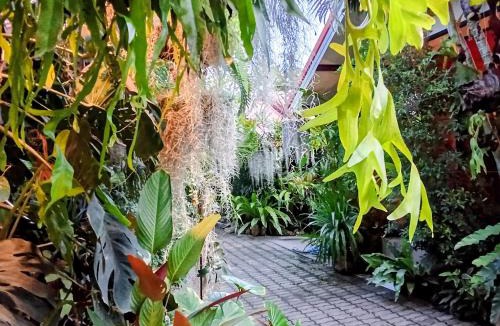 San Pu Loei Other | Ouychai Home stay resort