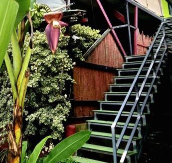 Ko Chang Apartment | Kai Bae Loft