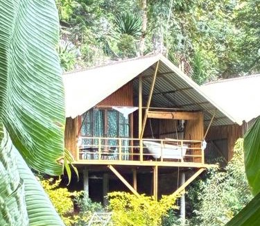 Thong Pha Phum House | มาค่ะ ฟาร์มสเตย์ ห้วยเขย่ง สวนคุณตา สวนทุเรียนทองผาภูมิ