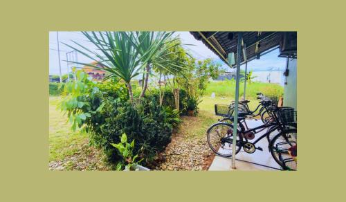 Tha Bo House | Nokhuuk's House Rimkhong