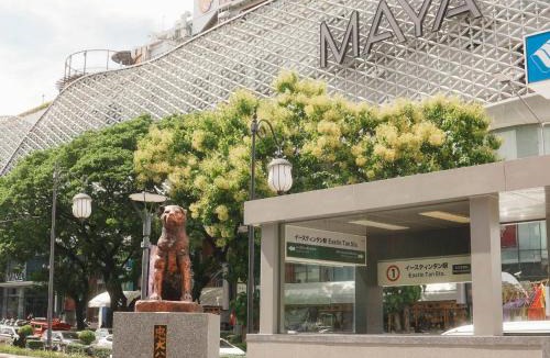 Huay Kaew Villa | Boxsoon nimman 8 # 3beds 2baths